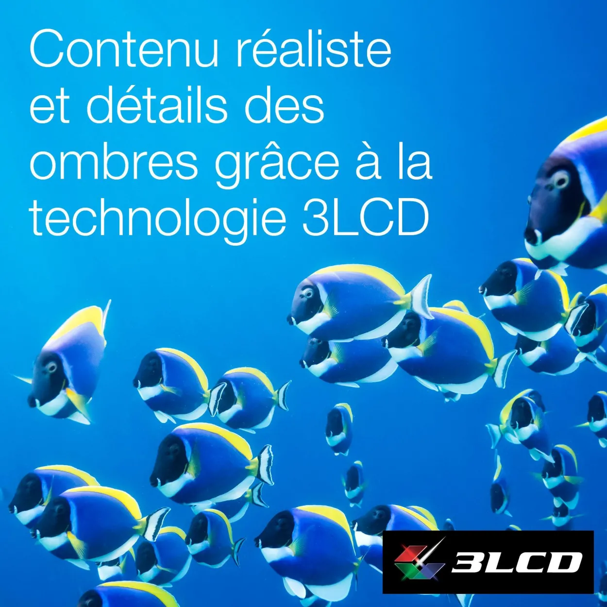 EF-22N, Mini projecteur laser, 1 000 lumens, Affichage jusqu’à 150 pouces, Google TV™ et haut-parleur Bluetooth, Portable