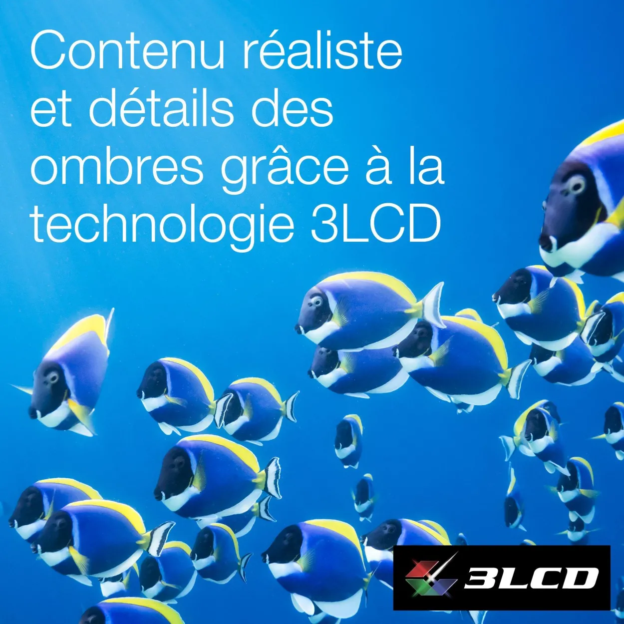 EF-22N, Mini projecteur laser, 1 000 lumens, Affichage jusqu’à 150 pouces, Google TV™ et haut-parleur Bluetooth, Portable
