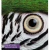 Fine Art Cotton Textured Natural II, A3+ 25 Sheets